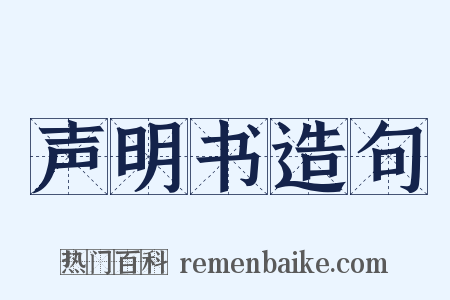声明书造句是什么意思的图片